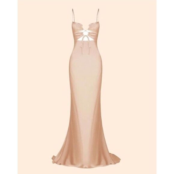 NWT Shona Joy Lace Front Maxi Dress Desert Rose sz 4 US - Picture 6 of 11